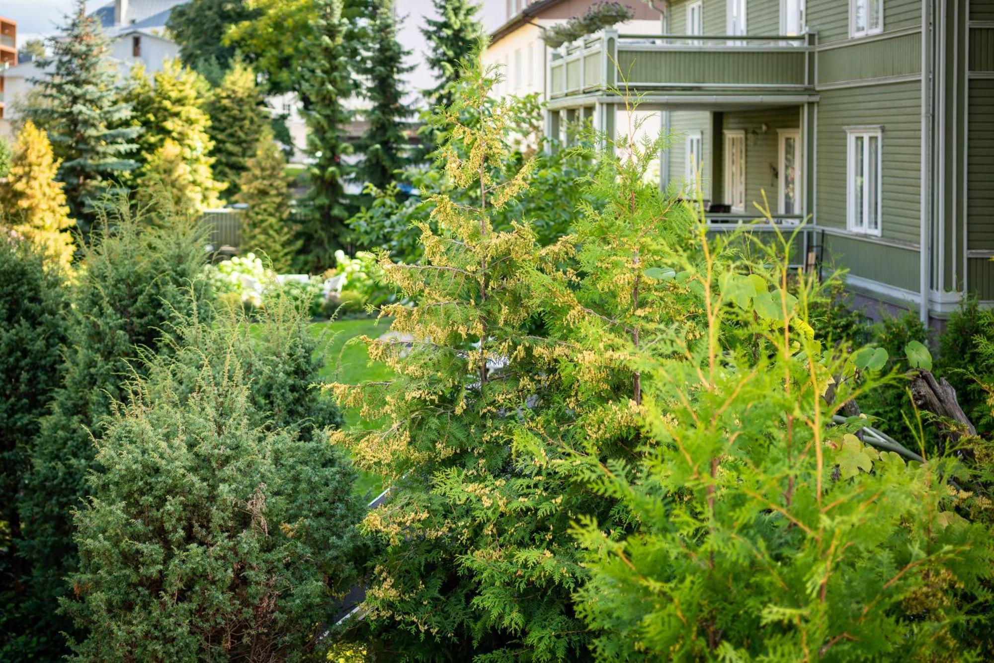 Garden Camping Tallinn Buitenkant foto