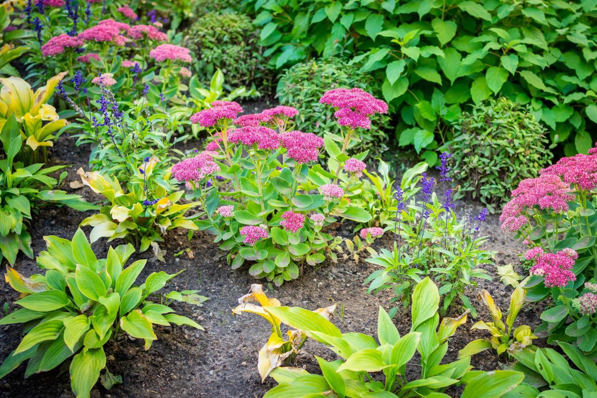 Garden Camping Tallinn Buitenkant foto