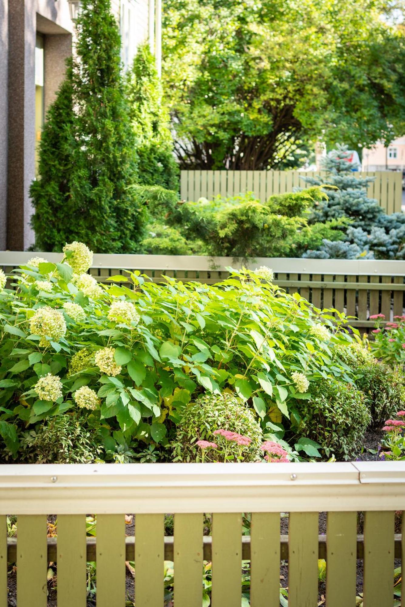 Garden Camping Tallinn Buitenkant foto