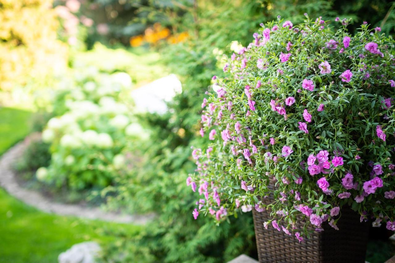 Garden Camping Tallinn Buitenkant foto